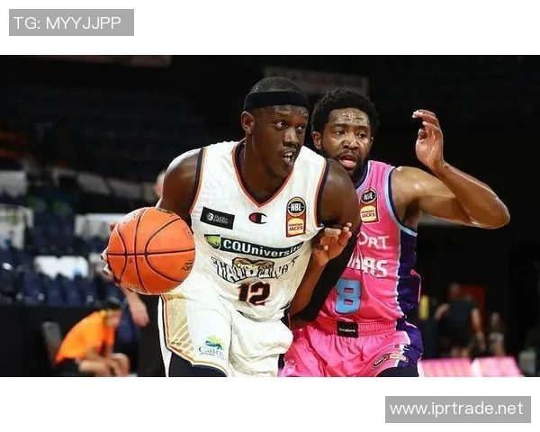 跳伞蚁官方：斯托达特脚踝受伤赛季报销